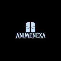 AnimeNexa logo - Similar company to Osela Technologies Limited