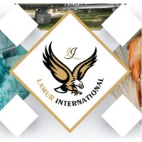 Lamur International Gen.Trad. Co. logo - Similar company to Armor Services