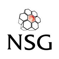 NSG Environmental Ltd logo - Similar company to We Solve It Ltd