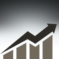 D Arora & Co, Cpa