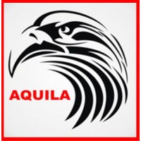 Aquila-engineering-ltd logo - Similar company to Hogan Thompson Schuelke Llp