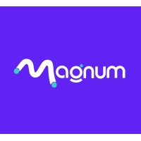 Magnum Agencia logo - Similar company to Yink Agencia