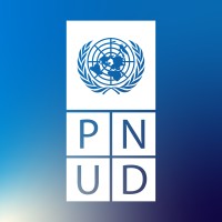 PNUD Costa Rica logo - Similar company to Organization For Tropical Studies