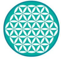 Biomimetic Solutions logo - Similar company to 10th World Congress on Chemical Engineering, Material Science & Nanoscience