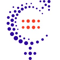 Women's Economic Imperative (WEI) logo - Similar company to Femtechglobal