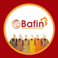 Bafin International Representation LDA logo - Similar company to Roben Meat B.V.