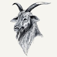 Cashmere House logo - Similar company to Cybrcoast