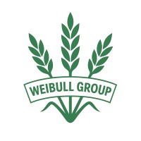Weibull Group logo - Similar company to Ra Weibull
