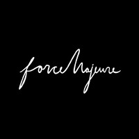 forceMajeure Creative Agency logo - Similar company to Lam Design