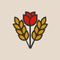 Bread & Roses Digital logo - Similar company to Lps Campaigns