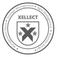 XELLECT logo - Similar company to Dexteritas