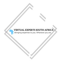 Virtual Experts South Africa
