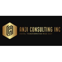 Anji Consulting Inc logo - Similar company to Despace