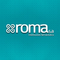 DF Roma logo - Similar company to Grupo Eholding