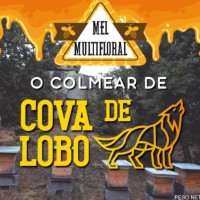 Miel Cova de Lobo logo - Similar company to Phenobyte