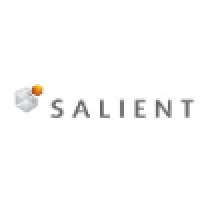 Salient Business Intelligence Inc.