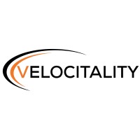 Velocitality LLC logo - Similar company to Platinum915