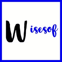 Wisesof LLC logo - Similar company to Basements Plus