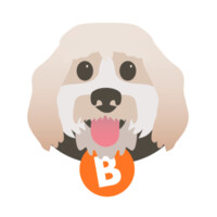 Mortgage Buddy logo - Similar company to Guarantee Mortgage
