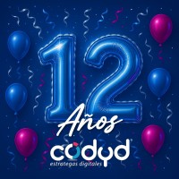 Codyd logo - Similar company to Btheclick