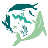 PROGRAMA PUNTA SAN JUAN logo - Similar company to Pro Delphinus