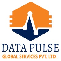 DataPulse Global Services PVT  LTD logo - Similar company to Data Pulse