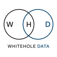 Whitehole Data logo - Similar company to Whitehole