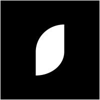 Syntetica logo - Similar company to Mindsaic