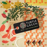 Turtle Green logo - Similar company to Basel Detox