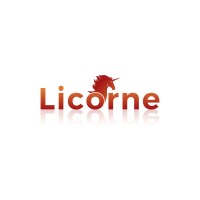 Licorne Technologies Limited logo - Similar company to Knock The Globe Technologies