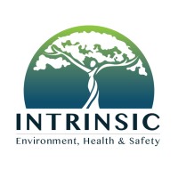 Intrinsic Environment, Health & Safety logo - Similar company to Pacific Eh&S Services, Inc