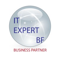 IT EXPERT BF logo - Similar company to Light-Pro