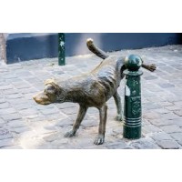 Street Dog Capital logo - Similar company to Monery.Io