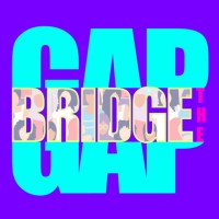 Bridge The Gap logo - Similar company to Economically Yours