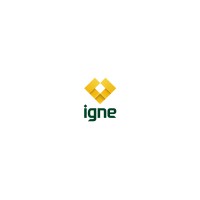 Igne Geo-Environmental logo - Similar company to Igne Materials Testing