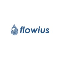 flowius logo - Similar company to Prophecius Technologies