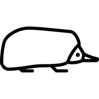 Echidna Earth