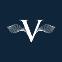 Vibe Connections logo - Similar company to Tsav