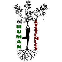Human Systemics Inc. logo - Similar company to Human Systems Llc