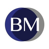 BM Finance et Conseils logo - Similar company to Sigex