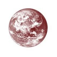 International Forum On Globalization logo - Similar company to Ingrid Schmidt