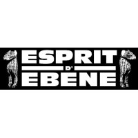 ESPRIT D'EBENE logo - Similar company to Célébrez-Vous