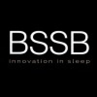 BSSB Furniture Sdn Bhd. logo - Similar company to V3 Group Limited