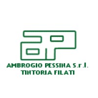 AMBROGIO PESSINA S.R.L. TINTORIA FILATI logo - Similar company to Briantubi - Bt Technik Srl