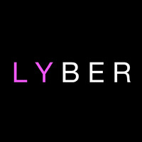 Lyber logo - Similar company to Lyber