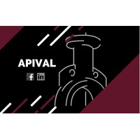Aplicación Inteligente de Válvulas / APIVAL logo - Similar company to Aplicación Inteligente De Válvulas