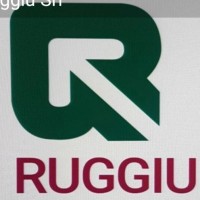 GUIDO RUGGIU S.R.L. logo - Similar company to Memoriae
