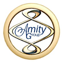 The Amity Group, Inc logo - Similar company to Texas-Nurse.Com