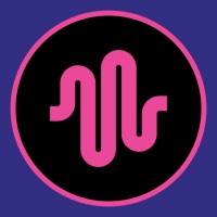 Castuner logo - Similar company to Devtuner