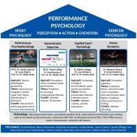 Performance Psychology - German Sport University Cologne logo - Similar company to Fepsac